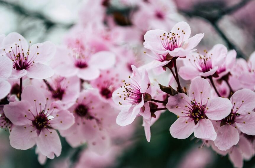 online seo growth strategy