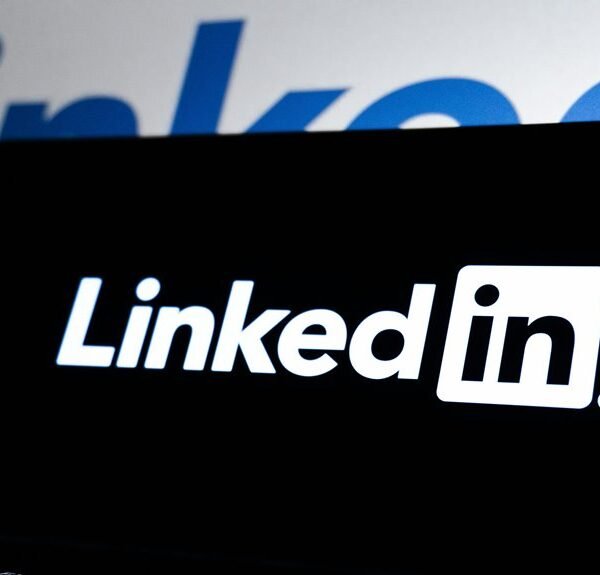 elevate digital influence web services