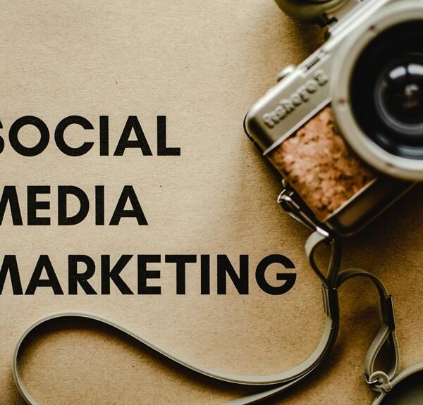 elevate your digital marketing platform